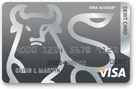 Merrill Lynch Access Visa Card